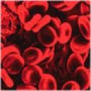 Curiosisades sobre o sangue! Interessante... :D